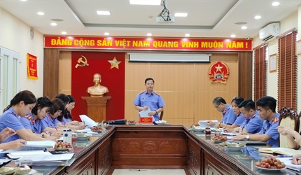 Viện KSND thành phố Hà Nội kiểm tra công tác nghiệp vụ năm 2024 tại...